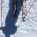 Catherine T (63) 🎿🎿🎿 (@treveillee) Twitter profile photo Catherine T (63) 🎿🎿🎿 (@treveillee) Twitter profile photo