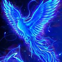 ShinyJohnn's profile picture. He/him very funny