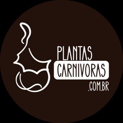 Loja especializada em venda de plantas carnívoras da espécie Nepenthes e insumos para seu cultivo.