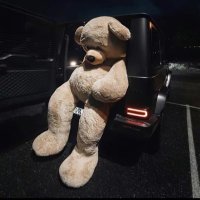 Elif (@elifss3413) Twitter profile photo