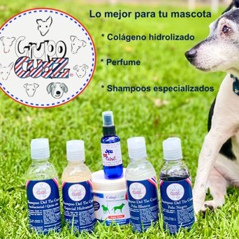 Ofrecemos servicios pensados para tu mascota. No olvides darle like a nuestra página en Facebook Grupo Cuaz. INFORMES 554415 1008 ó 5575998462