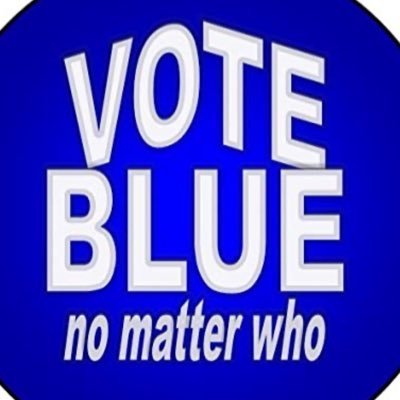 Heathcare, Education, Climate, Human Rights, Equality, Woman’s Right to Choose Vote Blue