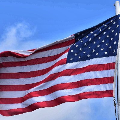 desiconservativ's profile picture. Techie / America First / Common sense