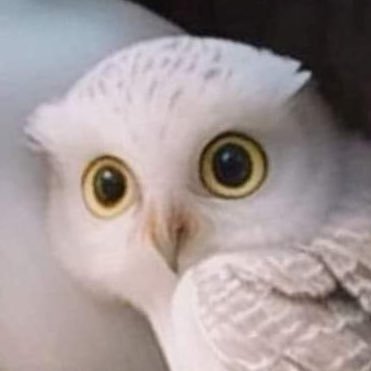 alejandra_75_'s profile picture. 