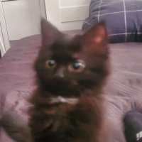 Meu (@meubutitstaken) 's Twitter Profile Photo Meu (@meubutitstaken) 's Twitter Profile Photo