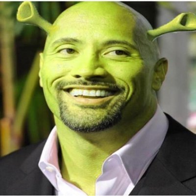 DaviDDavkovski's profile picture. Shrek + The Rock