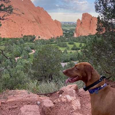 Mountains on the brain but stuck somewhere boring. Books & runners with the dog helps.