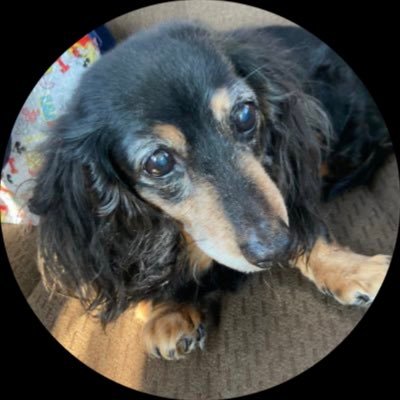CrojVj's profile picture. 