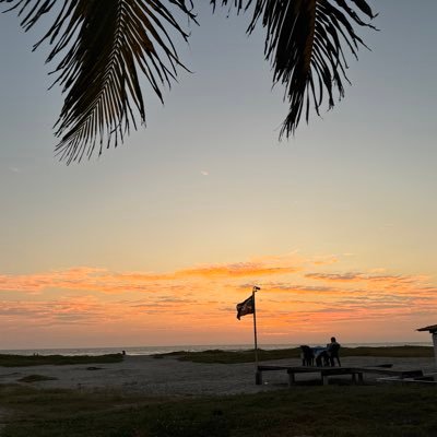 MarcoJGochez's profile picture. Sometimes things that are expensive are worse