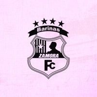 Zamora FC | Femenino(@ZamoraFCFem) 's Twitter Profile Photo