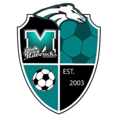 PMHSLadyMavSocr Profile Picture