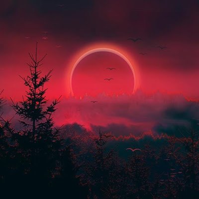 danasja_ha89453's profile picture. 
