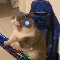 kristel Mamani Solis (@kristel_kms) 's Twitter Profile