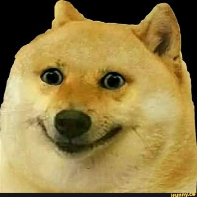Doge & Memes — Don’t forget to follow back :)