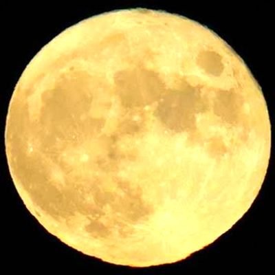 full_moon_326 Profile Picture