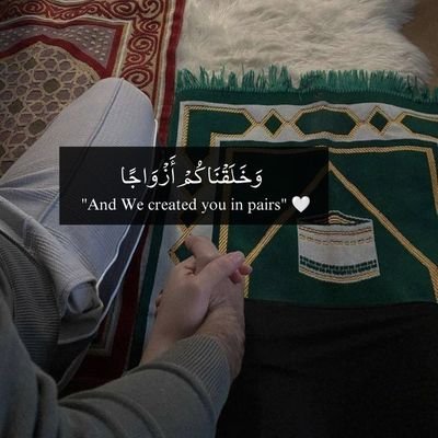 ولا تستوي الحسنة ولا السيئة ادفع بالتي هي احسن فإذا الذي بينك وبينه عداوة كأنه ولي حميم