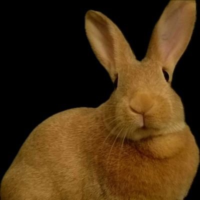 MWMWMWMW222's profile picture. 