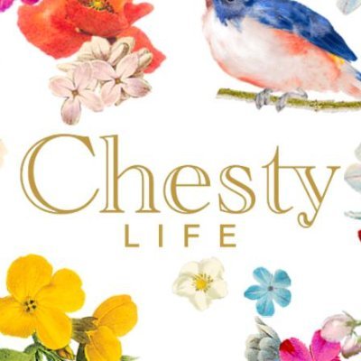 神戸のファッションブランドChesty（チェスティ）が運用する
情報サイト『Chesty LIFE』オフィシャルアカウント♥
「毎日にHAPPYを♥」をテーマに、様々な情報を毎日更新中♪
コチラのアカウントでは、更新情報やスタッフのつぶやきをお届けします♪