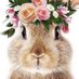 RabbitSoldier20🌸🐰🌸 (@rabbitsoldier20) Twitter profile photo RabbitSoldier20🌸🐰🌸 (@rabbitsoldier20) Twitter profile photo