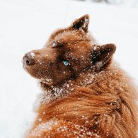Josiane Bahringer-Jacobi (@bahringer70208) 's Twitter Profile