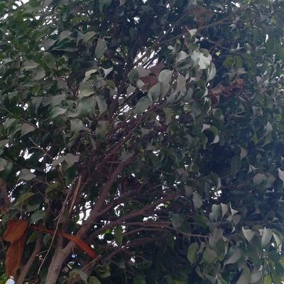 manoo1970561's profile picture. 