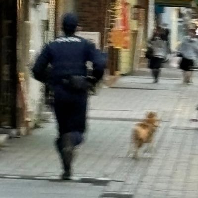 r34_murata's profile picture. 🚹'06 東海 政経 政 写真/おでかけ/コーヒー