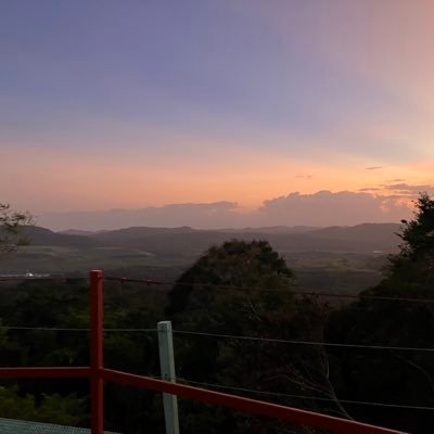 soopeanutbird's profile picture. 