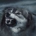 RaffForLiberty 4.0 🐺🇺🇸 (@raffus18) Twitter profile photo RaffForLiberty 4.0 🐺🇺🇸 (@raffus18) Twitter profile photo
