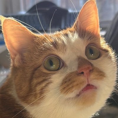 claire_spauld's profile picture. 