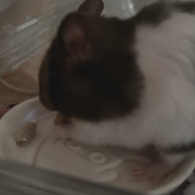 もももももさんのプロフィール画像