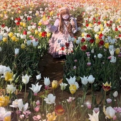 🥰カワイイお洋服やバラ栽培🌹56ままロリィタですインコ🦜鳥飼9年目突✨YouTubeヤッテマス毎日が鳥カフェピカチュウマイメロカワイイファッション時triplefortune物販staff ✨♪スキズハンバンチャン推し♡