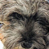 ASHY (@ashy0x41) 's Twitter Profile Photo ASHY (@ashy0x41) 's Twitter Profile Photo
