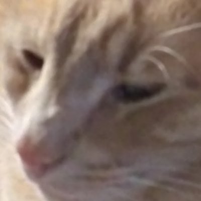 Cosmicgmd's profile picture. gang they/them, lordvadercraft denier, sakupen circles first victor.