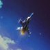 Barbatos (@barbatos_rexx) Twitter profile photo Barbatos (@barbatos_rexx) Twitter profile photo