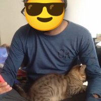 R | ర (@roamingtelugu) 's Twitter Profile Photo