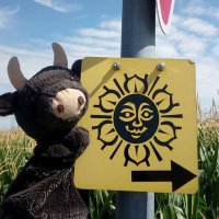 Elfe. Ja. 🐮 (@elfesagtwiesist) 's Twitter Profile