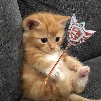 OfficialMurxi's profile picture. back. 2023