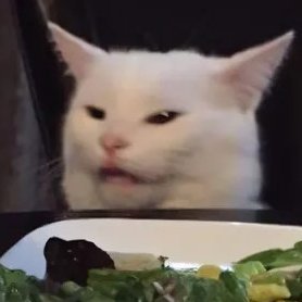 SlacksCat's profile picture. 