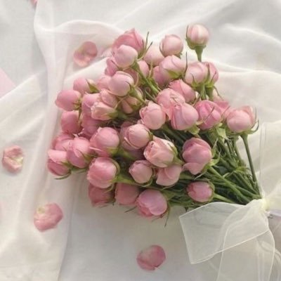 heeeeerrt's profile picture. لرُبما فاح عطر الشعور مُجبراً .. ،،   @heeeerrt