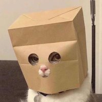 uçmayı bilmeyen unicorn (@yaptigincokayip) 's Twitter Profile