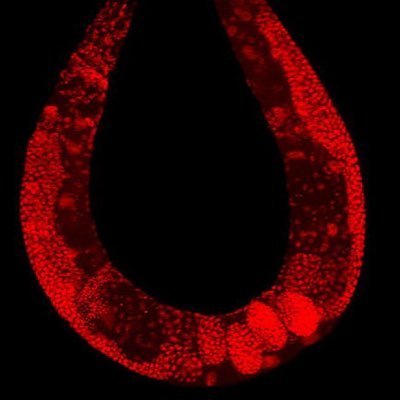 JonathanL40967's profile picture. Whatever the mind can conceive and believe, the mind can achieve