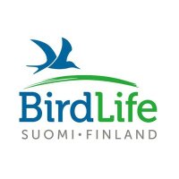 BirdLife Suomi(@BirdlifeSuomi) 's Twitter Profile Photo