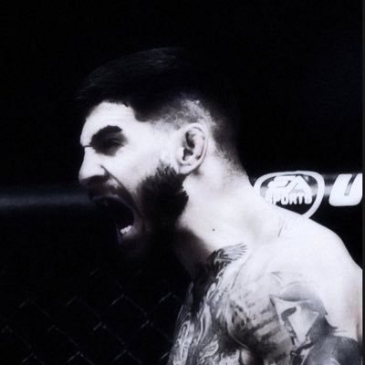 notwaint's profile picture. NDA