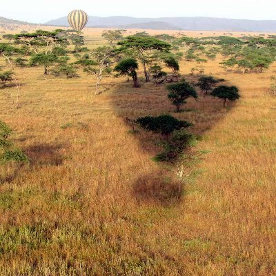 MerrittSam68402's profile picture. 