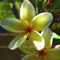 Flossie Spencer (@flossiespe5935) 's Twitter Profile