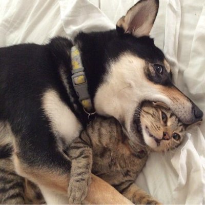 SchuettEll48791's profile picture. 