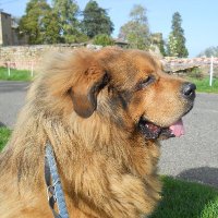 FleurBleue (71) 🇫🇷 I do not comply ! (@ffleurbleue) 's Twitter Profile