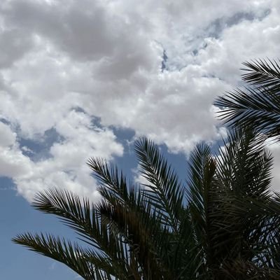 MUATH1SAHAL's profile picture. 