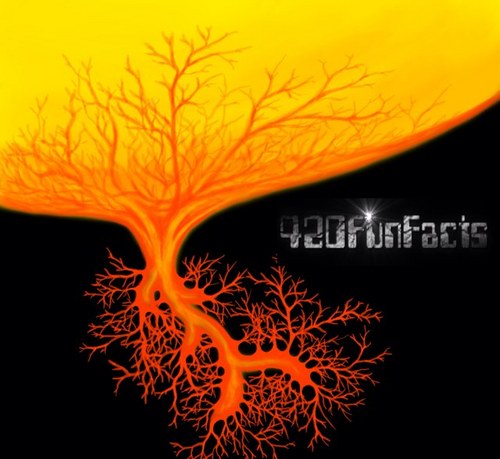 420FunFacts's profile picture. real irie facts birthed from real irie times!  #420FunFacts