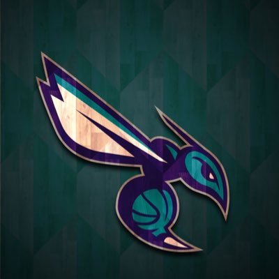 Hornets and Panthers Fan
